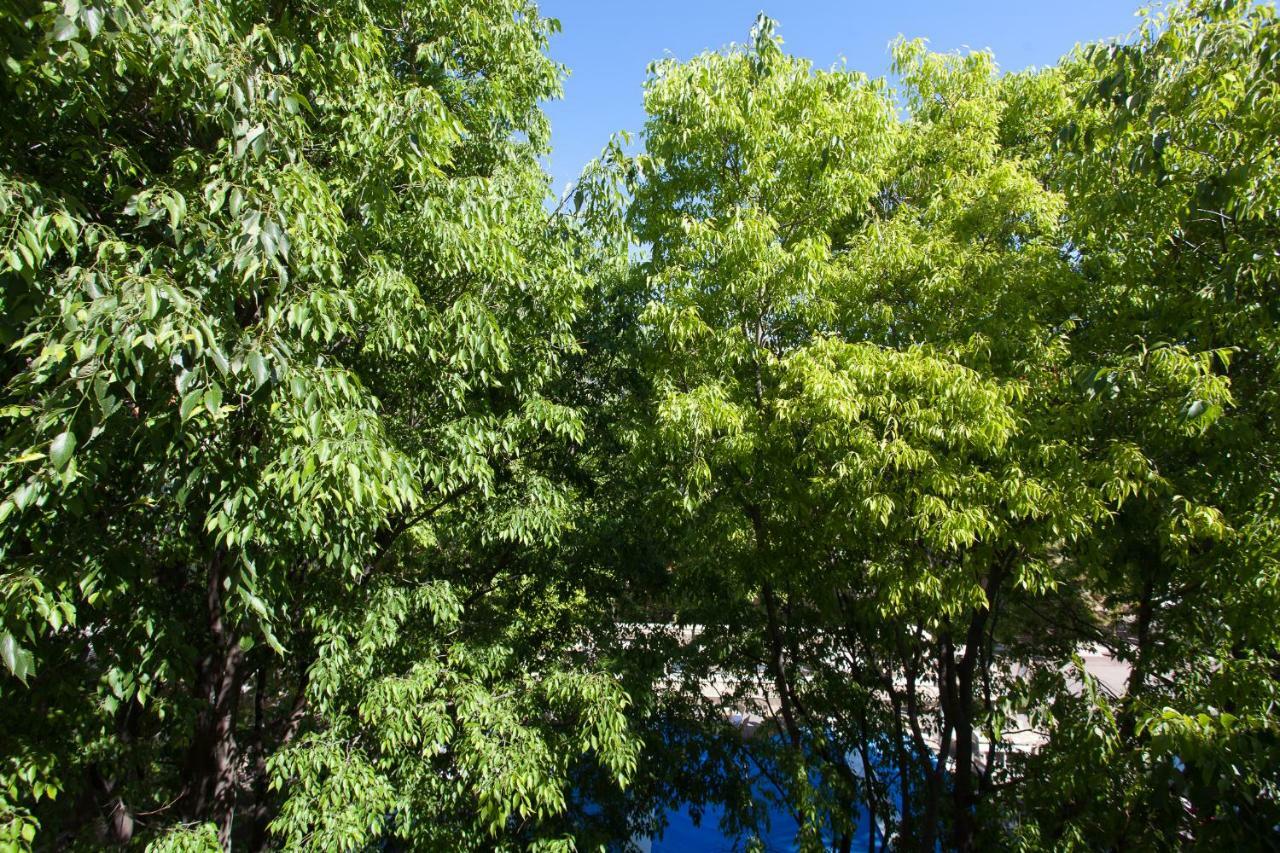 Superbe Appartement Loft Vieil Antibes Bagian luar foto